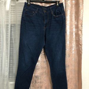 Aeropostale High Rise Dark Wash Jegging - Size 10
